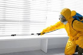 Trusted Laguna Hills, CA Pest Control Experts